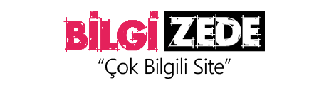 bilgizede